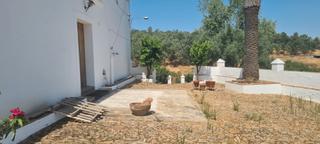 Finca rústica a Calle belén 53. Finca rustica 23 hectareas, cortijo, instalaciones ganadera, oli