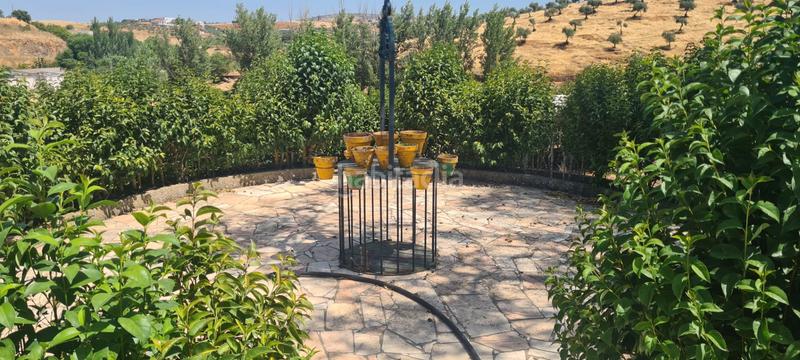 Foto 0789eb95-3b4e-49f7-b65d-c0b36e4e146e. Propriété dans calle belén 53 dans Zafra