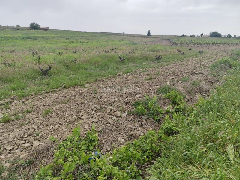 Foto 7848085a-885d-41c0-a772-9ab50029b665. Finca rústica a Puebla de Sancho Pérez