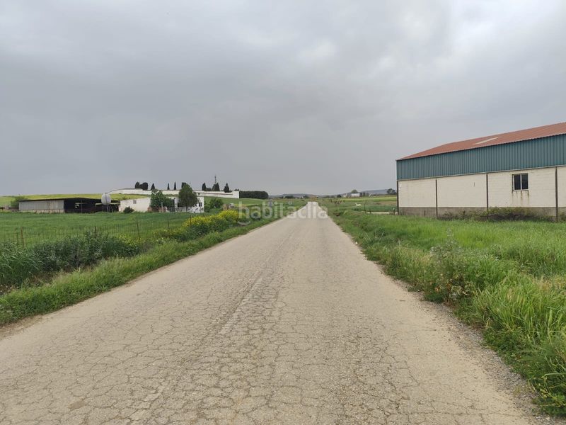 Foto 9d4a5823-85b4-4204-afed-67d62fd0c062. Finca rústica a Puebla de Sancho Pérez