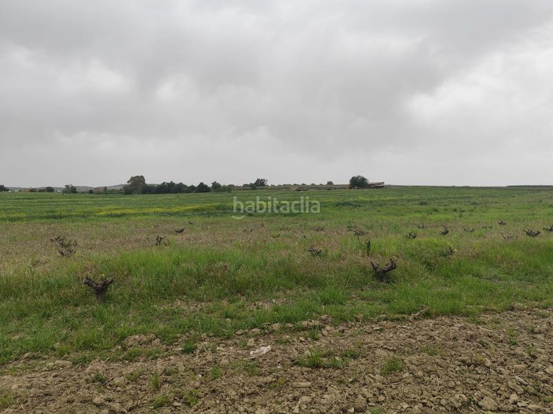 Foto a7745a69-cf93-4981-8e92-b8c7d69e7461. Finca rústica a Puebla de Sancho Pérez