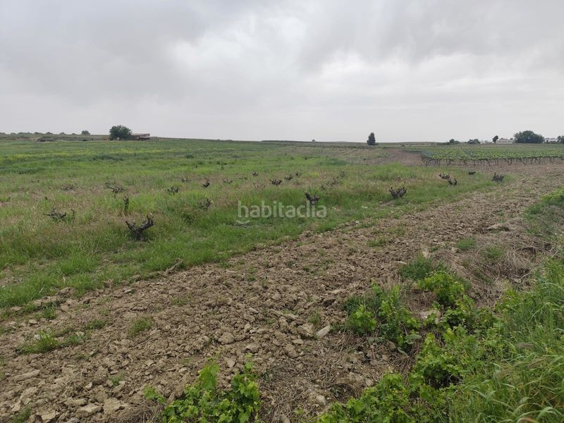 Foto a79d86a8-f877-415f-8a42-e0f05041cea3. Finca rústica a Puebla de Sancho Pérez