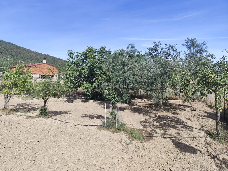 Foto f25689f2-e530-4ed6-a660-0dd07819bf22. Finca rústica a lugar diseminado 36 a Lapa (La)