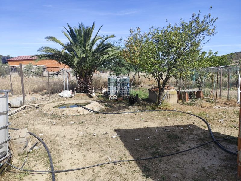 Foto f6684986-b4fc-4d76-a268-ae670b52d2af. Finca rústica a lugar diseminado 36 a Lapa (La)