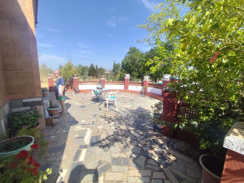 Foto 0879eefa-baf3-4437-ae8b-4416c8354610. Finca rústica a diseminado peralas 39 a Zafra
