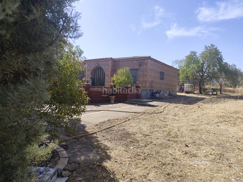 Foto 5a299932-c92c-4dd0-ab2f-ff330cb1fdb6. Finca rústica a diseminado peralas 39 a Zafra