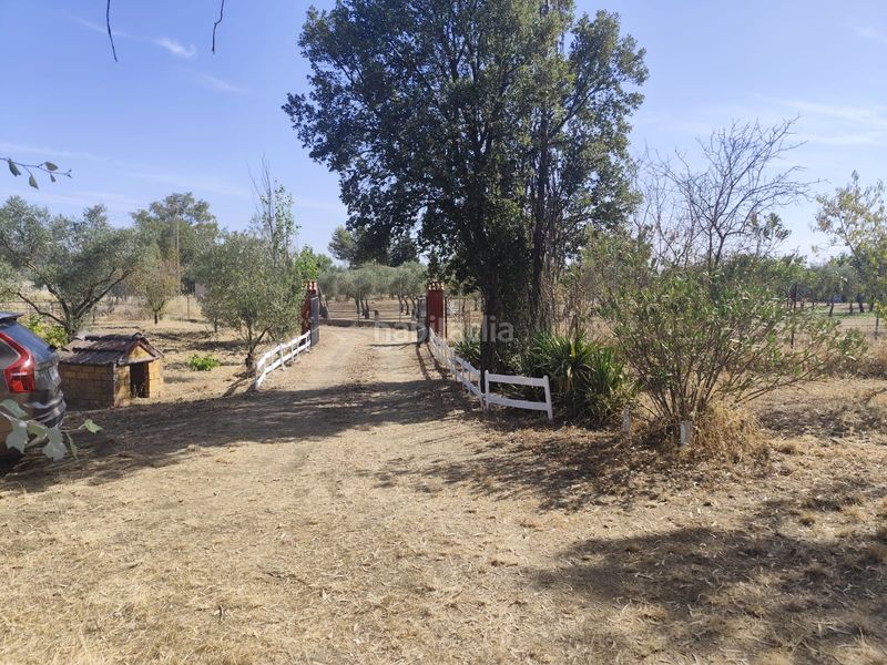 Foto 5e55434c-c6d5-414c-b6e7-84842274a02b. Finca rústica a diseminado peralas 39 a Zafra