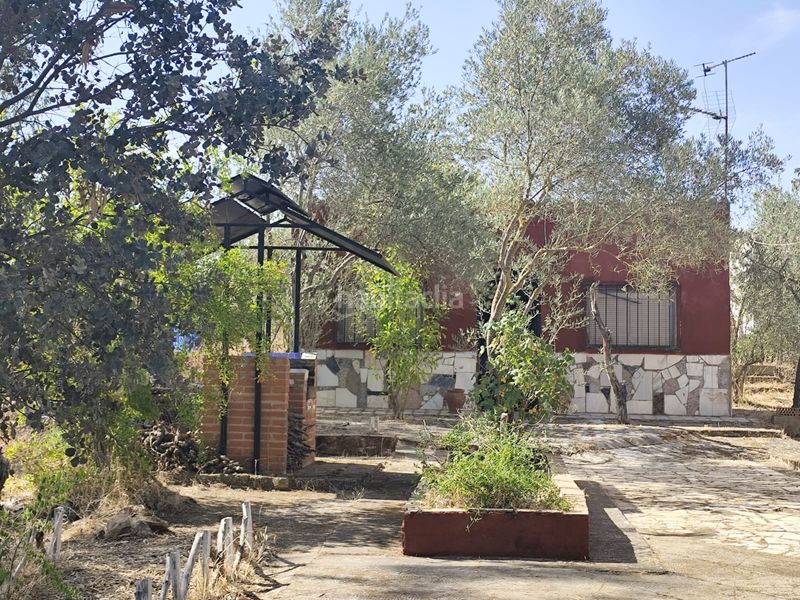 Foto 64211c1d-1f69-4d8b-ab98-b4e19ca08d99. Finca rústica a diseminado peralas 39 a Zafra