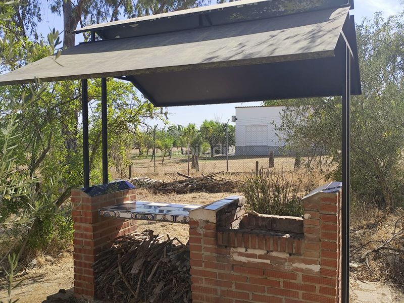 Foto 73420bd4-8a89-406f-91f4-e61a0d1b1a73. Finca rústica a diseminado peralas 39 a Zafra