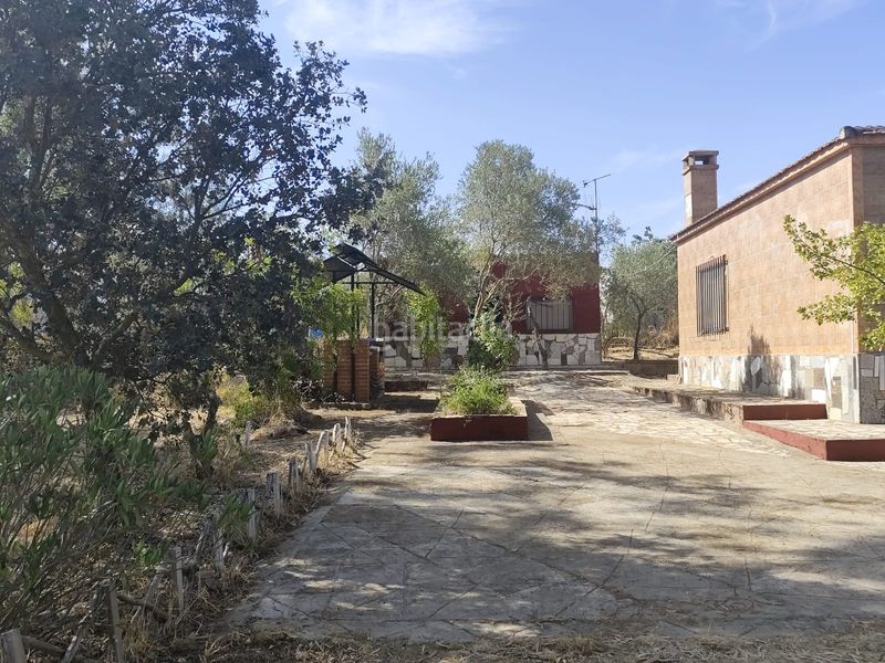 Foto a28003b6-fcf2-4ff3-aeed-9e6fc653b8ce. Finca rústica a diseminado peralas 39 a Zafra
