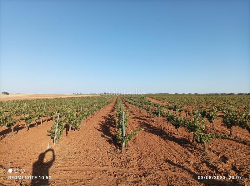 Foto 2504c3ed-d2da-4ee2-8f4d-7029482df905. Finca rústica a Usagre