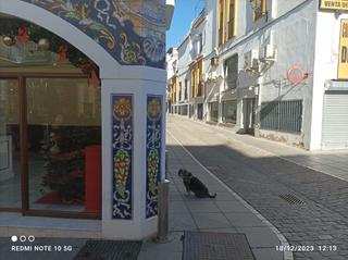 Lloguer Local Comercial a Ronda maestranza 2. Local peluqueria