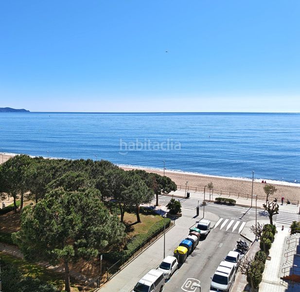 Foto 90d4c806-40d9-4e15-8c42-d536d9d7a9cd. Pis amb piscina a Els Pins Blanes