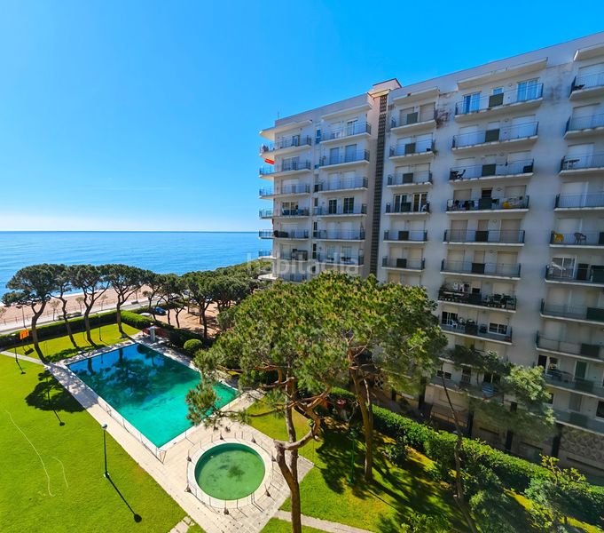 Foto bc73d690-f123-402b-909b-986df4e78b0c. Pis amb piscina a Els Pins Blanes