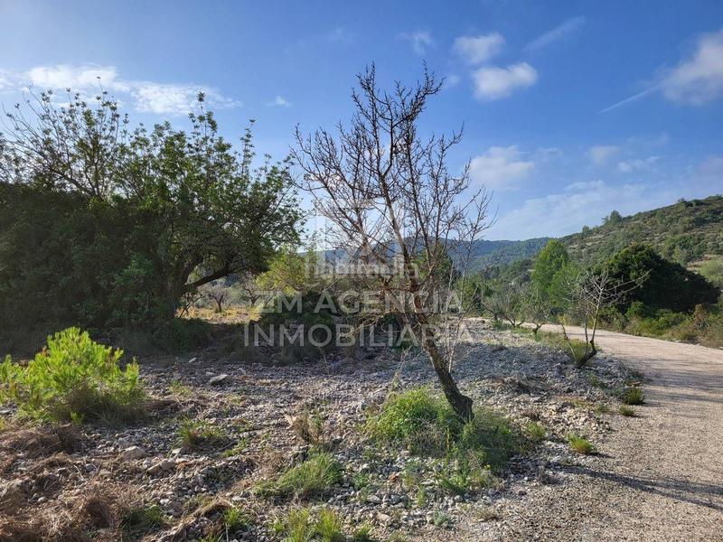 Foto 0a4e82b3-3b07-4fd6-b373-d13b7fd0274e. Finca rústica finca rustica en venta en Cervera del Maestre
