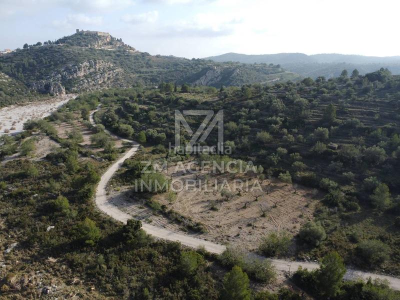 Foto 51eb25af-ac37-4df1-8935-6fcca61893f7. Finca rústica finca rustica en venta en Cervera del Maestre
