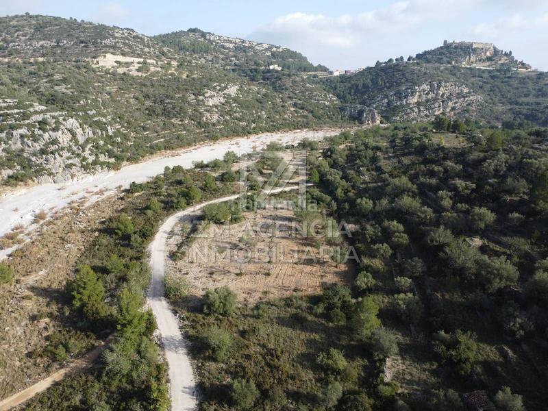 Foto 58da0738-b126-49a5-8ce8-7e1fbad8adb8. Finca rústica finca rustica en venta en Cervera del Maestre