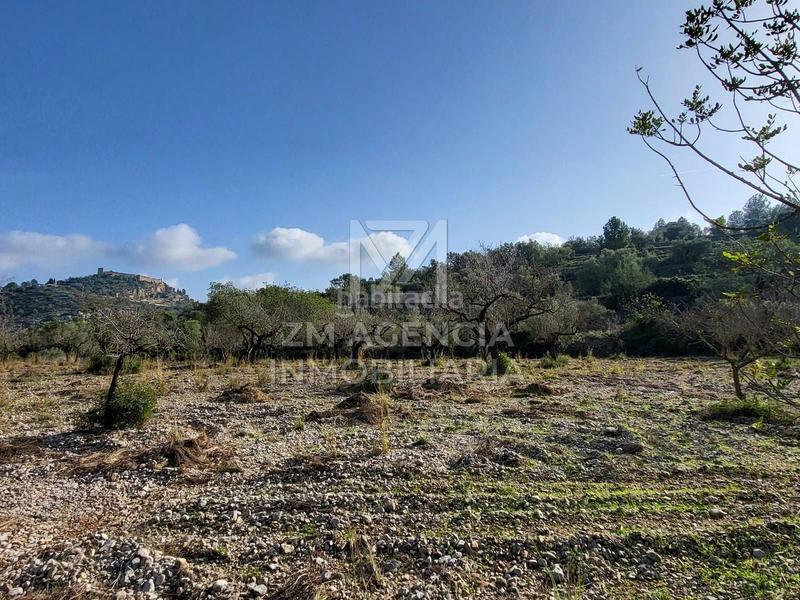 Foto 5a85537e-c05d-4a3a-be31-8d2b2e93726e. Finca rústica finca rustica en venta en Cervera del Maestre