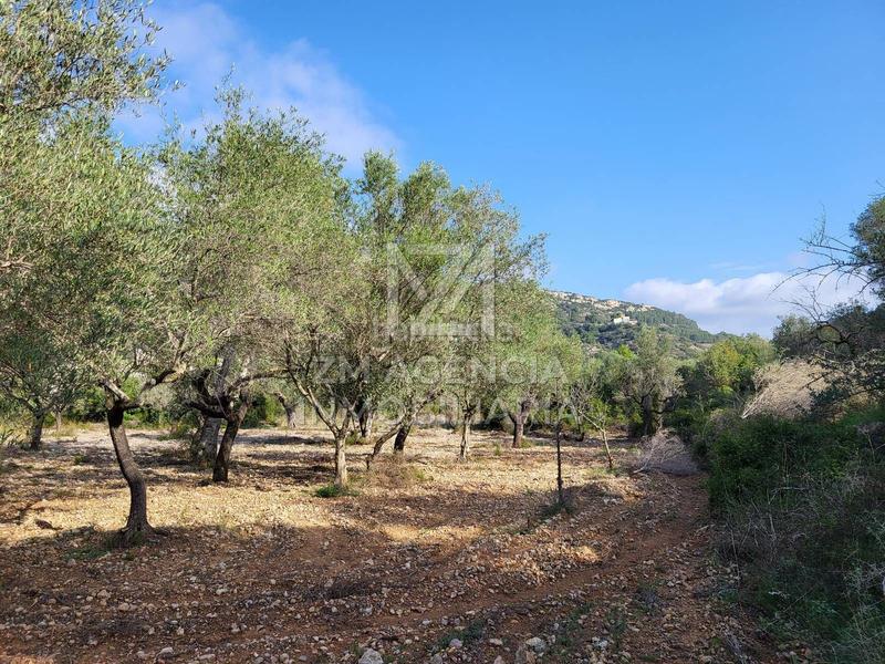 Foto 9fc4bda7-d931-47bb-afe8-da272c4835bf. Finca rústica finca rustica en venta en Cervera del Maestre
