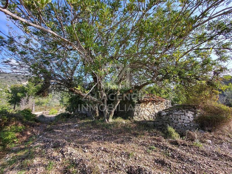 Foto c23c205c-434e-448f-a2f5-e73f9f6267c4. Finca rústica finca rustica en venta en Cervera del Maestre