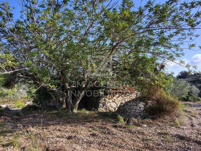 Foto c8d243ba-8a91-4995-bf91-44d0eef0f0ef. Finca rústica finca rustica en venta en Cervera del Maestre