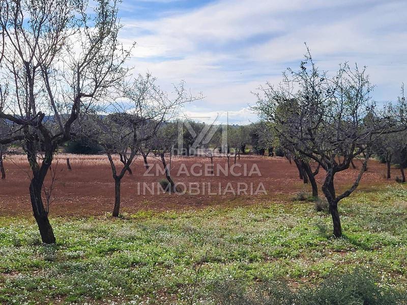 Foto 21b36379-df70-4169-b73a-efdee8229e07. Finca rústica finca rustica en venta en Traiguera