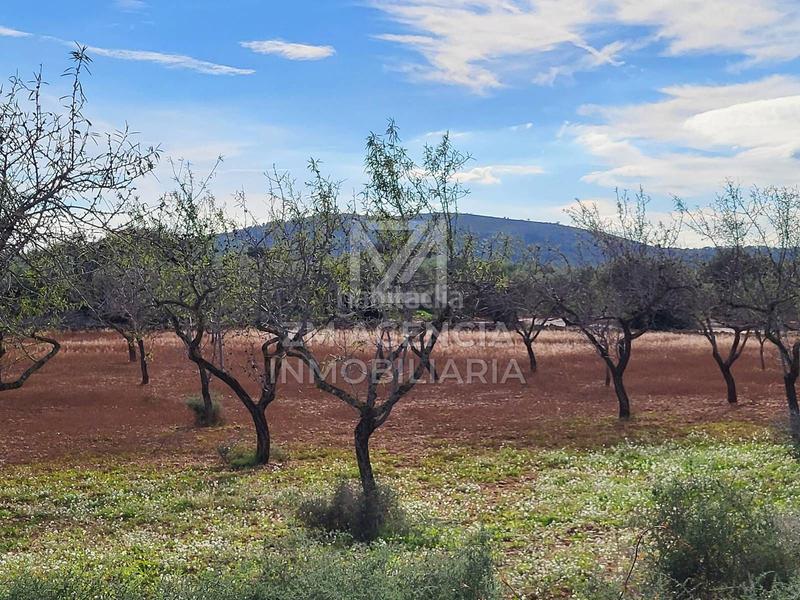 Foto 51271440-7457-4f40-b773-3cb71e1c9fb0. Finca rústica finca rustica en venta en Traiguera