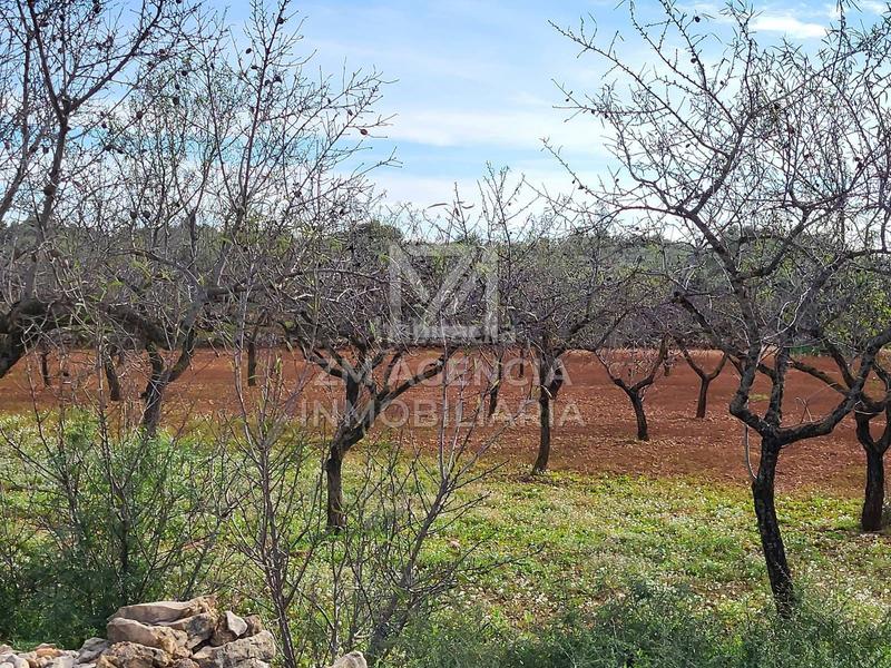 Foto 80381934-611b-4834-bb26-7ceebec785a7. Finca rústica finca rustica en venta en Traiguera