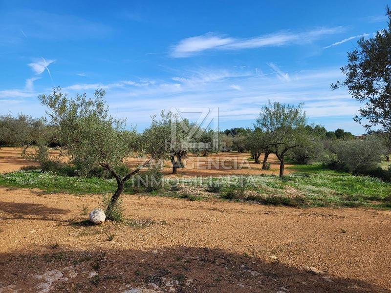 Foto 8dbfa96d-6950-47ea-bcd2-802339fbbc17. Finca rústica finca rustica en venta en Traiguera