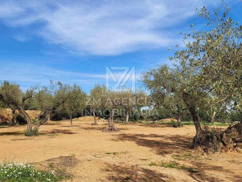 Foto 93f70d7e-1d9b-4981-bb81-45fae3fb35dd. Finca rústica finca rustica en venta en Traiguera