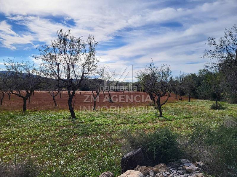 Foto a9e9f698-950d-4738-a88e-cfb08357b083. Finca rústica finca rustica en venta en Traiguera