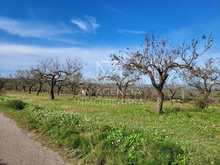 Finca rústica a Traiguera. Finca rustica en venta en termino municipal de traiguera