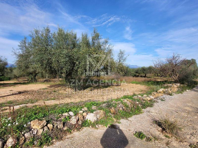 Foto 86c01b7f-6e00-4025-85b1-07969ee25866. Finca rústica a Traiguera