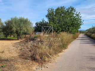 Finca rústica  Camps. Finca rustica en venta en el termino municipal de traiguera
