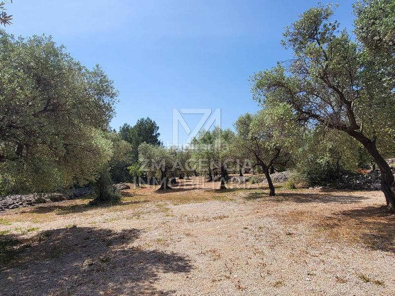 Foto 0a41e711-ad78-4e17-bbbb-99bfccac9fe9. Masia amb calefacció a Canet lo Roig