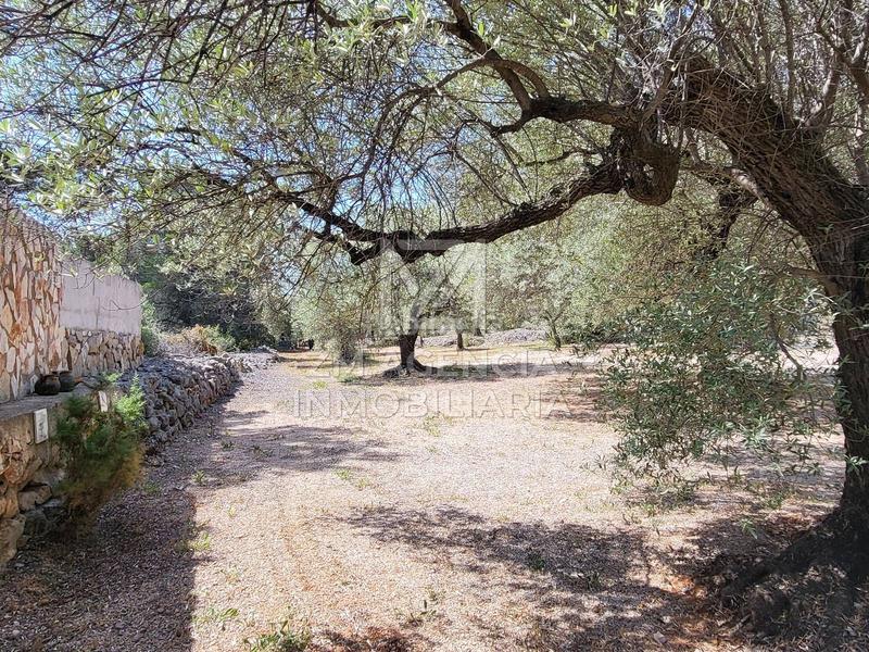 Foto 1ba4c01a-1d2c-4585-b1a8-5c1f1825a04e. Masia amb calefacció a Canet lo Roig