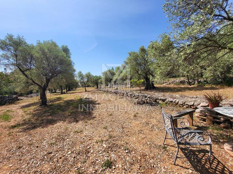 Foto 9a4ad01c-f778-4dc7-aaec-a5aaa06f476c. Masia amb calefacció a Canet lo Roig