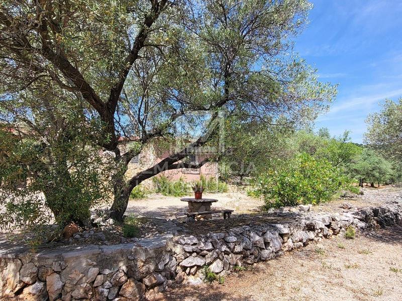 Foto 9bfd35d5-8237-471f-a43d-9843949aa3ae. Masia amb calefacció a Canet lo Roig