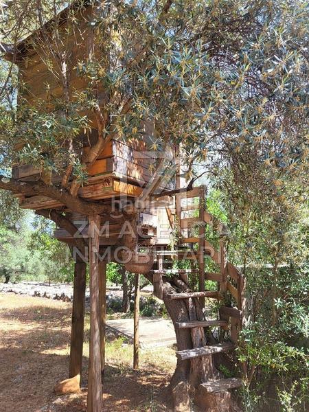 Foto cd7bd3d8-b436-4df3-b58a-d11ef99826da. Masia amb calefacció a Canet lo Roig