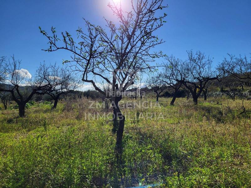 Foto 0d2e2674-092e-443e-942b-8a76fd3d57bf. Masía casa de campo autosuficiente en Cervera del Maestre