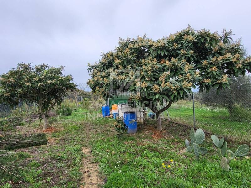 Foto 7e581dfe-ca92-4b50-80ff-3da45929c629. Masía casa de campo autosuficiente en Cervera del Maestre