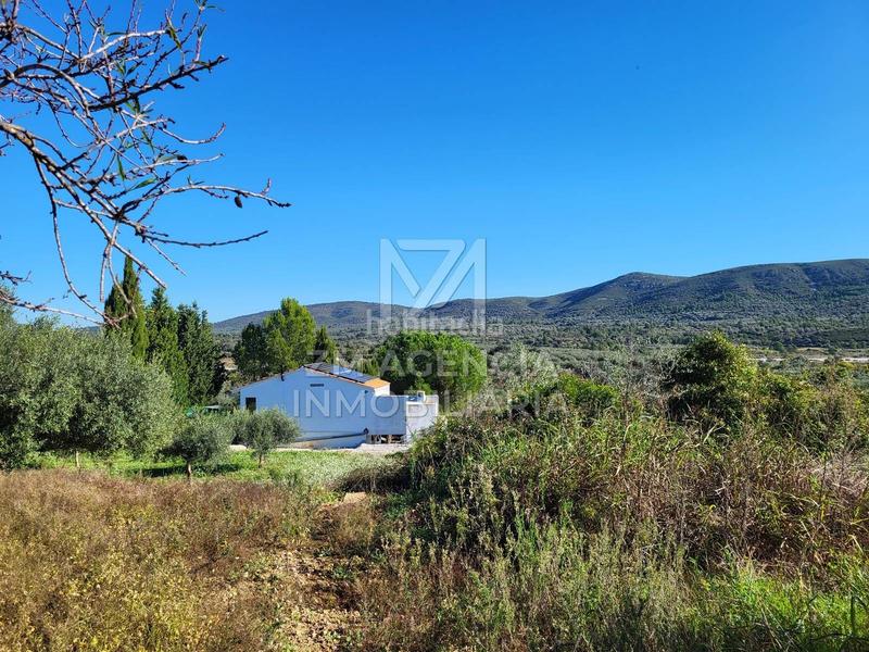 Foto 83f9e7f3-e00e-4288-b949-785abd1e0bd6. Masía casa de campo autosuficiente en Cervera del Maestre