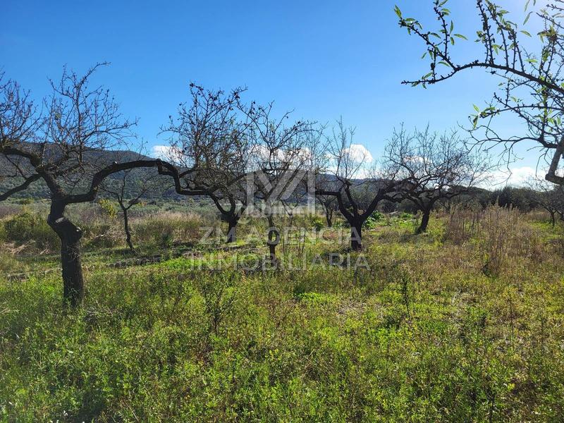 Foto 9dce38a9-a3f2-4538-be32-cc0feb68e57f. Masía casa de campo autosuficiente en Cervera del Maestre