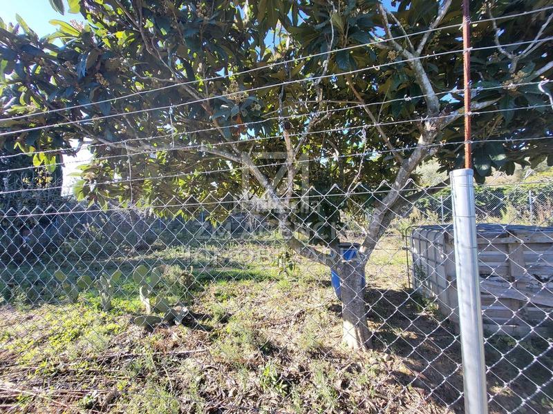 Foto a2499ac1-967f-4944-b56a-65b58f849c8c. Masía casa de campo autosuficiente en Cervera del Maestre