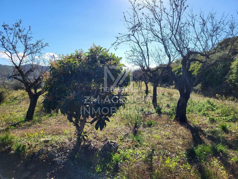 Foto dd46806c-7f0e-44cc-a055-5bbb715e687a. Masía casa de campo autosuficiente en Cervera del Maestre