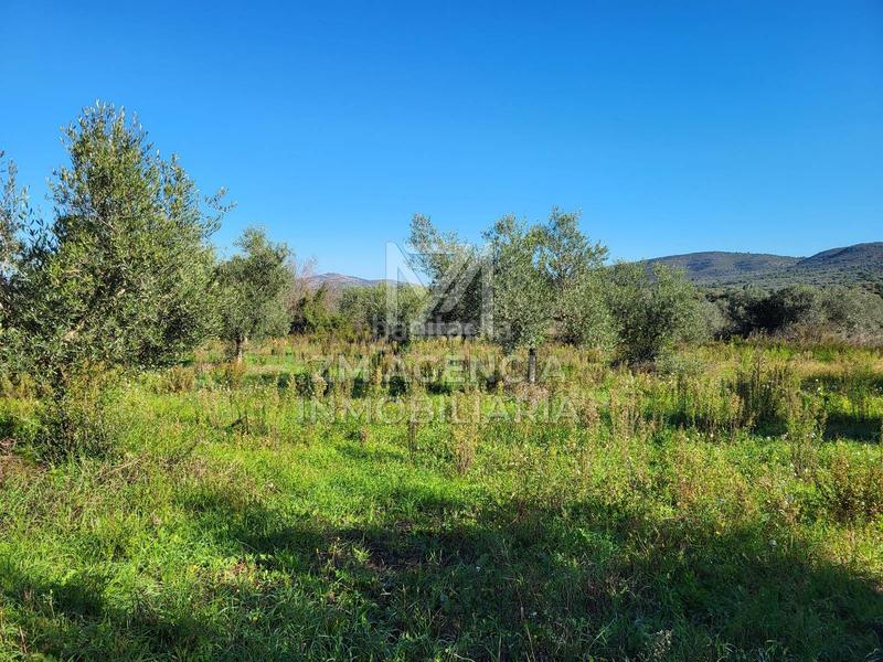 Foto e8e8a858-340b-4d52-9b02-fd665400285c. Masía casa de campo autosuficiente en Cervera del Maestre