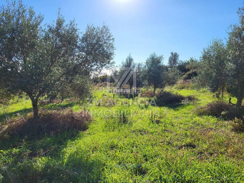 Foto f70726bd-3553-4147-aa2d-04af8e9b84cf. Masía casa de campo autosuficiente en Cervera del Maestre