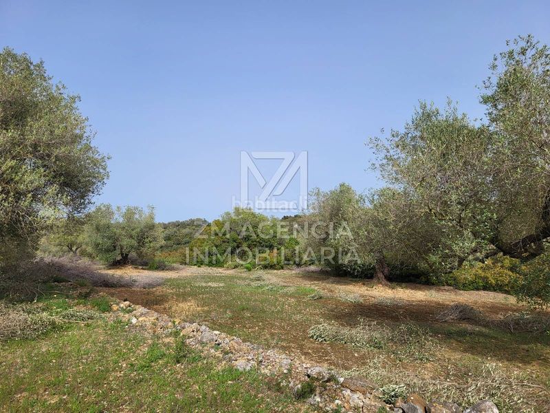 Foto 3583d0cc-59dd-4515-bf2f-bd9802453ff7. Finca rústica a corral de la culla a San Jorge