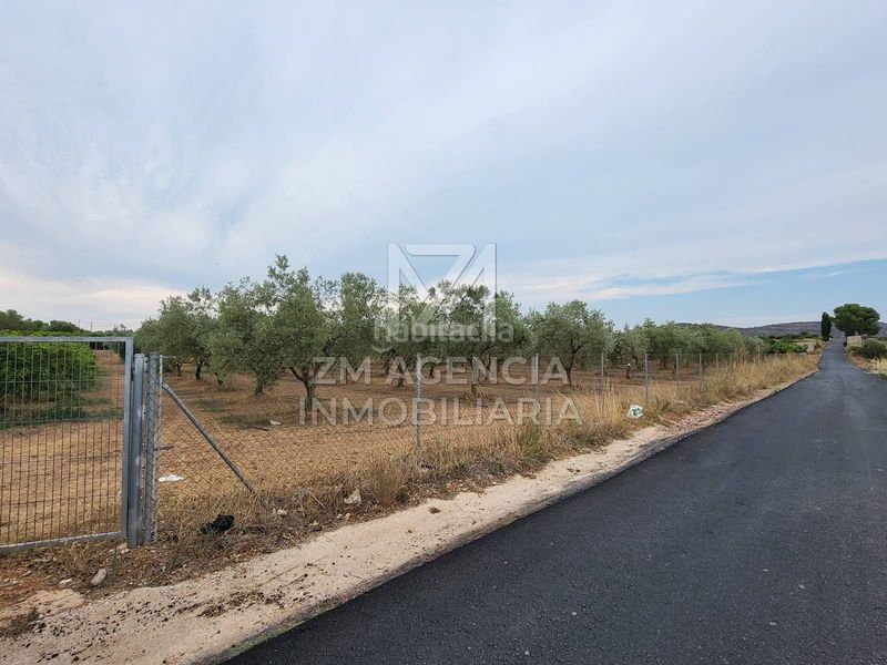 Foto b35506ad-9c6a-45c8-a152-1791f262b688. Finca rústica a Pueblo Benicarló