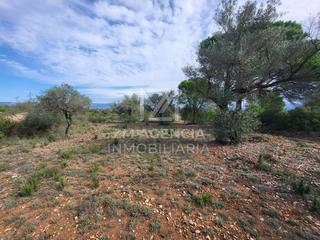 Masia a Traiguera. Finca en venta en traiguera